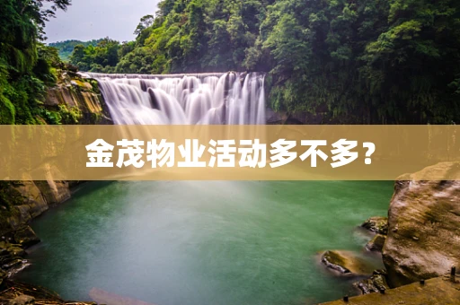 金茂物业活动多不多？