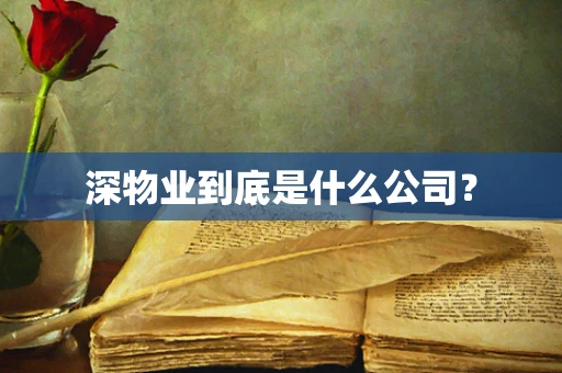 深物业到底是什么公司？