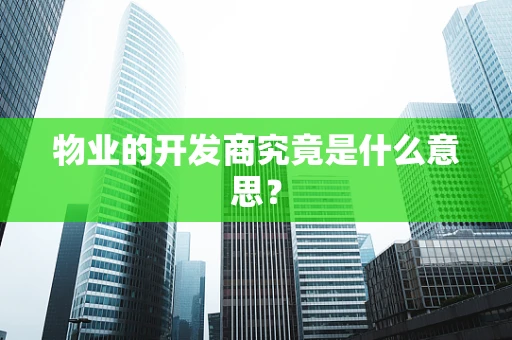 物业的开发商究竟是什么意思？