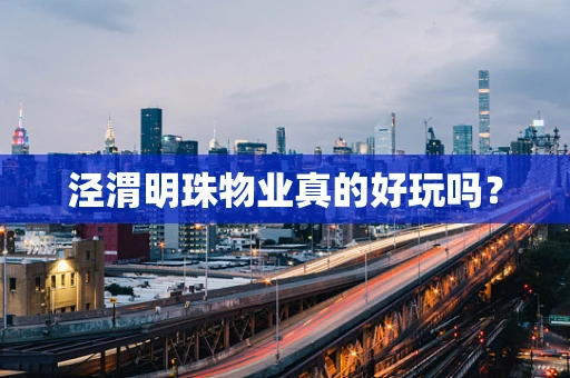 泾渭明珠物业真的好玩吗？