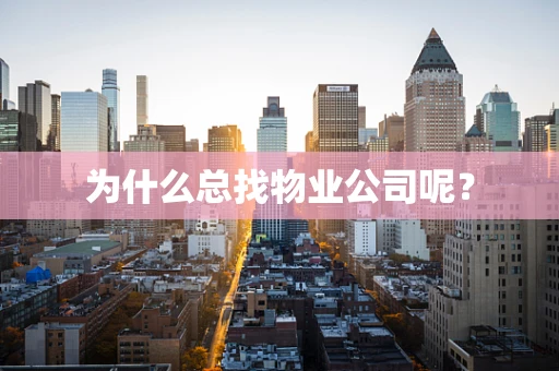 为什么总找物业公司呢？