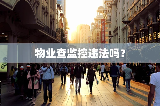 物业查监控违法吗？