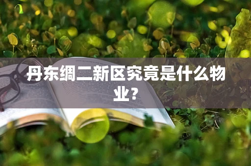 丹东绸二新区究竟是什么物业？