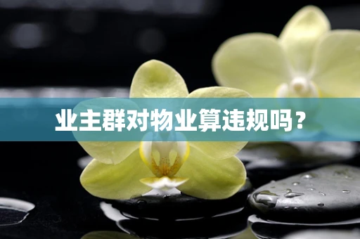 业主群对物业算违规吗？