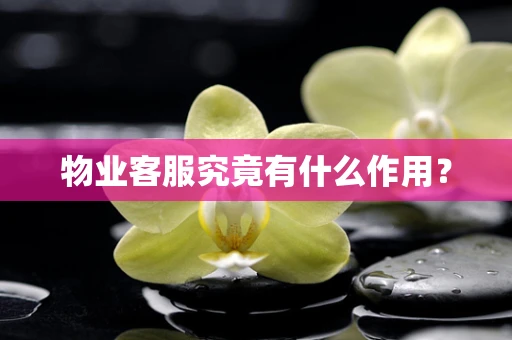 物业客服究竟有什么作用？