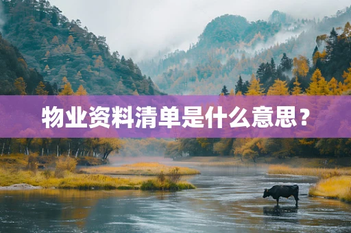 物业资料清单是什么意思？