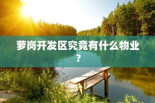 萝岗开发区究竟有什么物业？