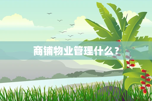 商铺物业管理什么？