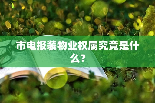 市电报装物业权属究竟是什么？