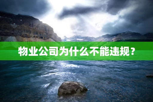 物业公司为什么不能违规？