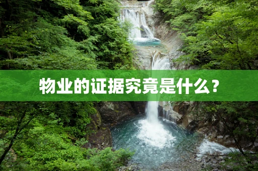 物业的证据究竟是什么？