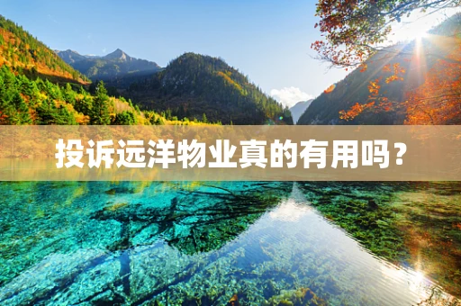 投诉远洋物业真的有用吗？