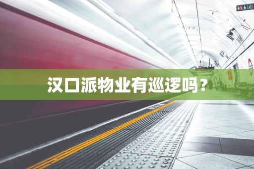 汉口派物业有巡逻吗？