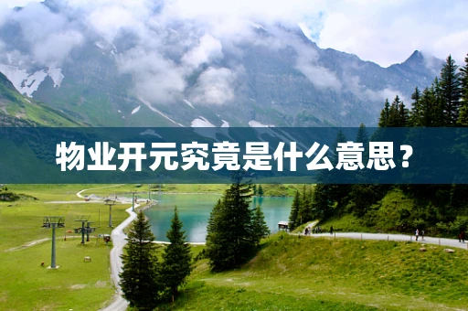 物业开元究竟是什么意思？