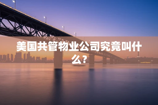 美国共管物业公司究竟叫什么？