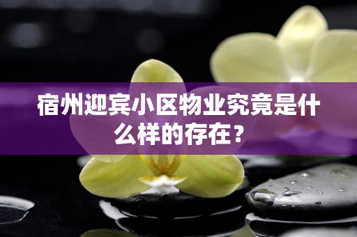宿州迎宾小区物业究竟是什么样的存在？