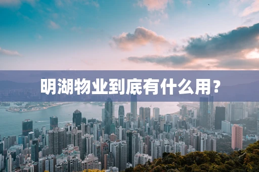 明湖物业到底有什么用？