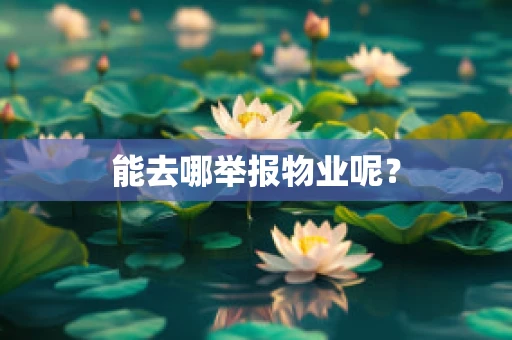能去哪举报物业呢？