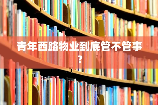 青年西路物业到底管不管事？