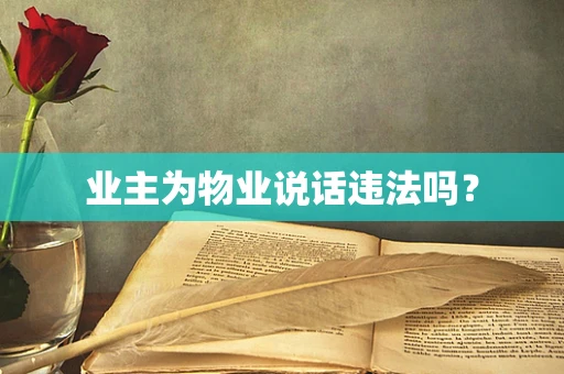 业主为物业说话违法吗？