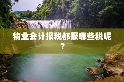 物业会计报税都报哪些税呢？