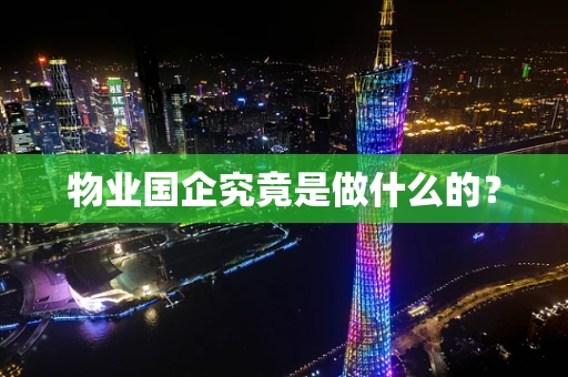 物业国企究竟是做什么的？