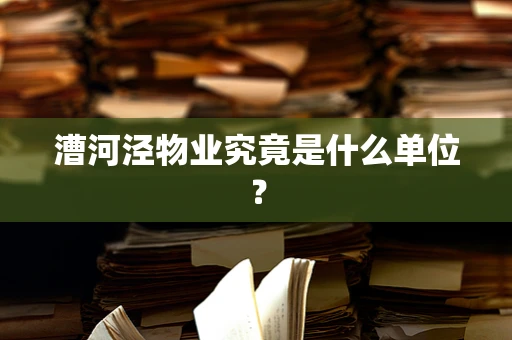 漕河泾物业究竟是什么单位？