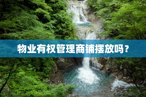 物业有权管理商铺摆放吗？