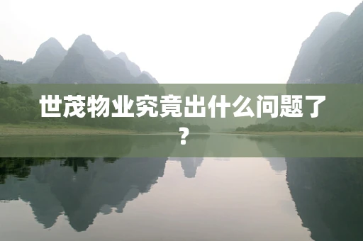 世茂物业究竟出什么问题了？