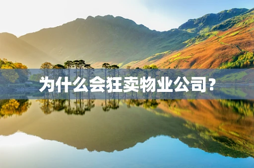 为什么会狂卖物业公司？