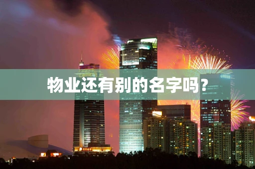 物业还有别的名字吗？