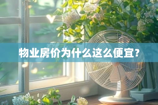 物业房价为什么这么便宜？