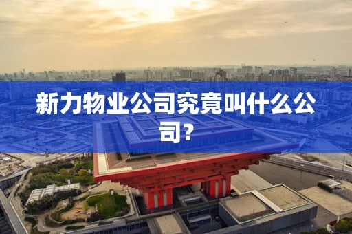 新力物业公司究竟叫什么公司？