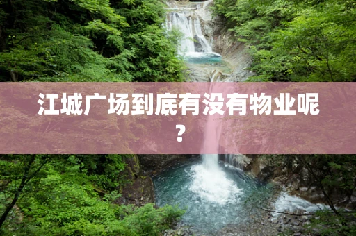 江城广场到底有没有物业呢？