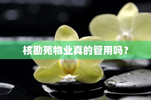 核勘苑物业真的管用吗？
