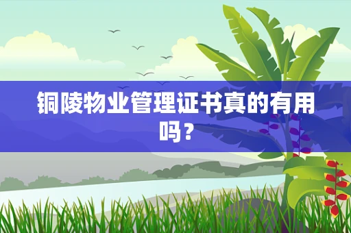 铜陵物业管理证书真的有用吗？