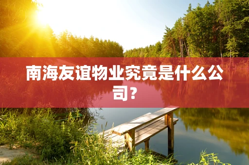 南海友谊物业究竟是什么公司？