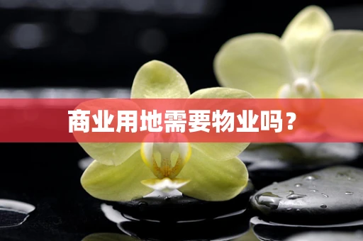 商业用地需要物业吗？