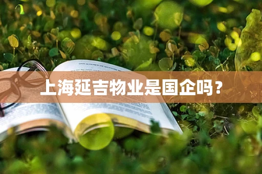 上海延吉物业是国企吗？