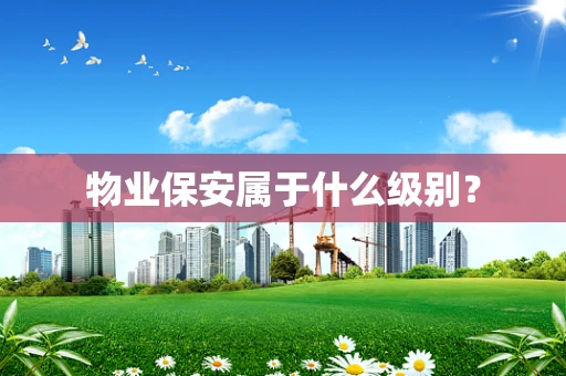 物业保安属于什么级别？