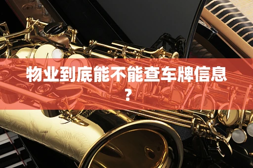 物业到底能不能查车牌信息？