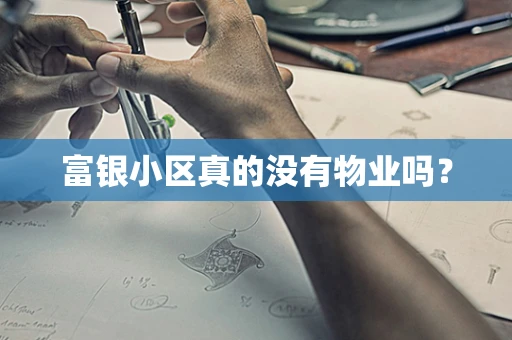 富银小区真的没有物业吗？