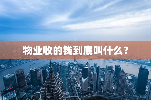 物业收的钱到底叫什么？