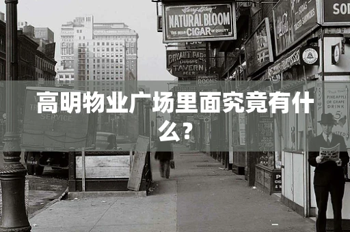 高明物业广场里面究竟有什么？