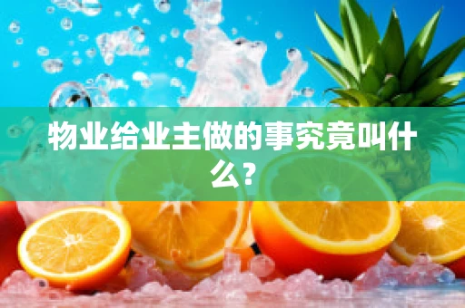 物业给业主做的事究竟叫什么？