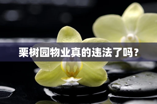 栗树园物业真的违法了吗？