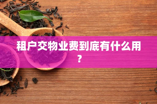 租户交物业费到底有什么用？