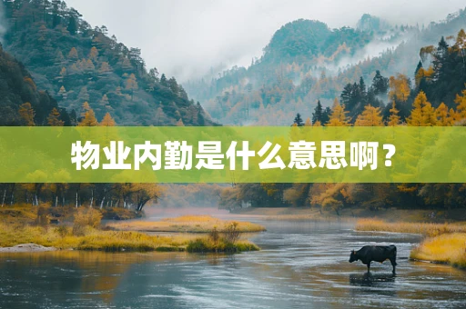 物业内勤是什么意思啊？