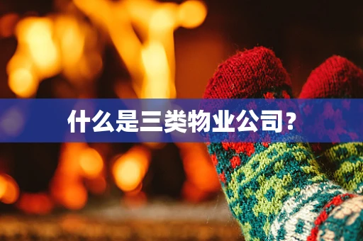 什么是三类物业公司？