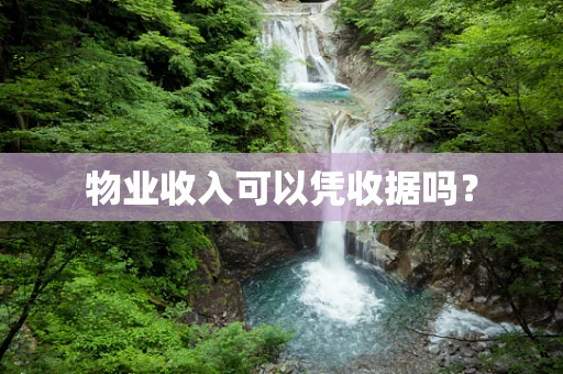 物业收入可以凭收据吗？
